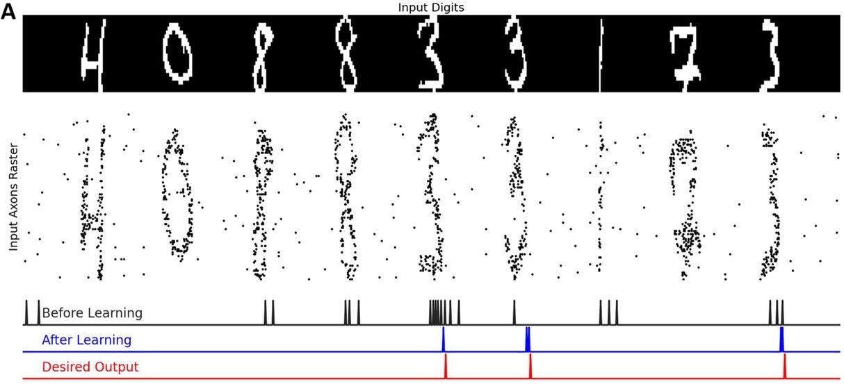 Filter&Fire paper Fig.3A